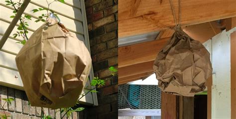 fake wasp nest paper bag|paper bag wasp trap.